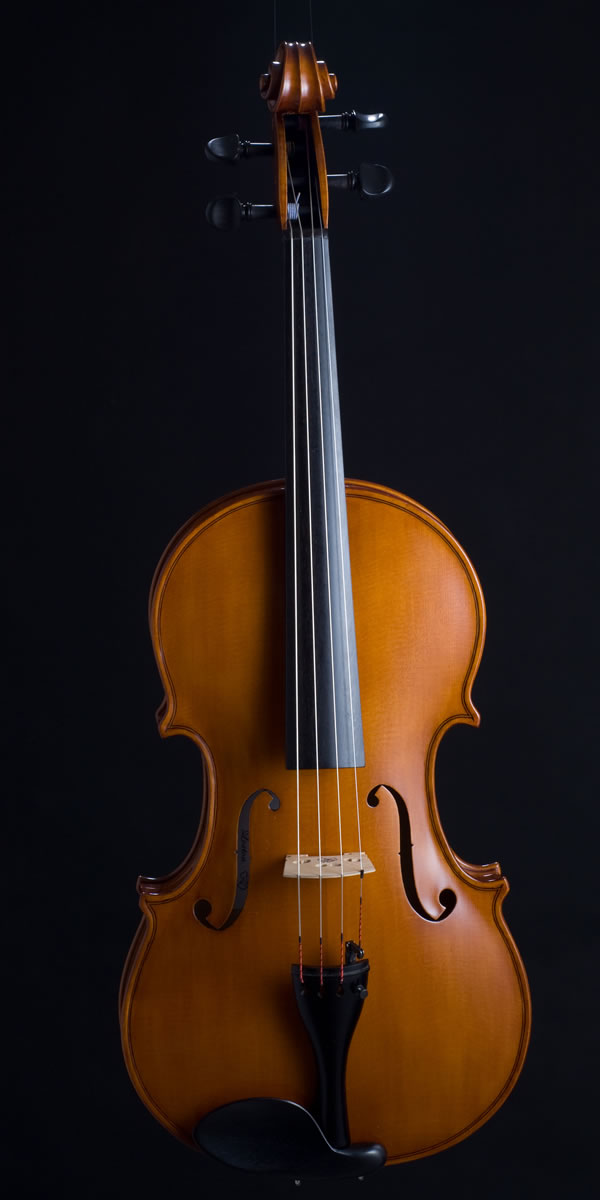 viola