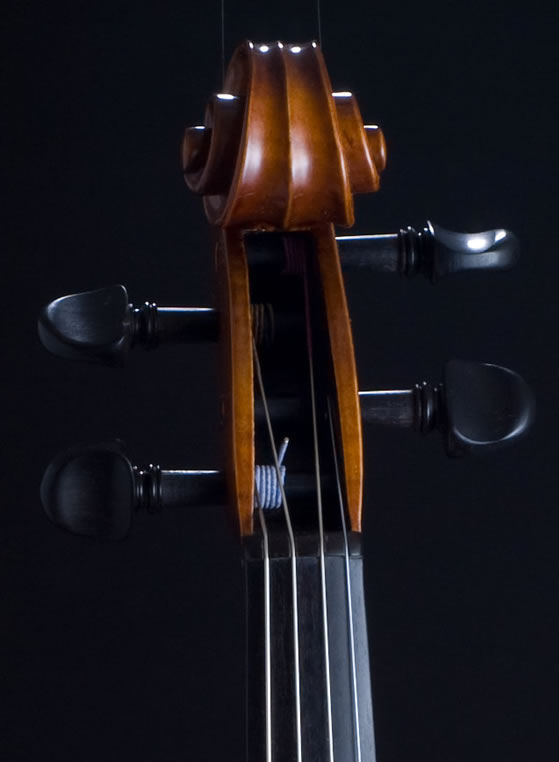 violin