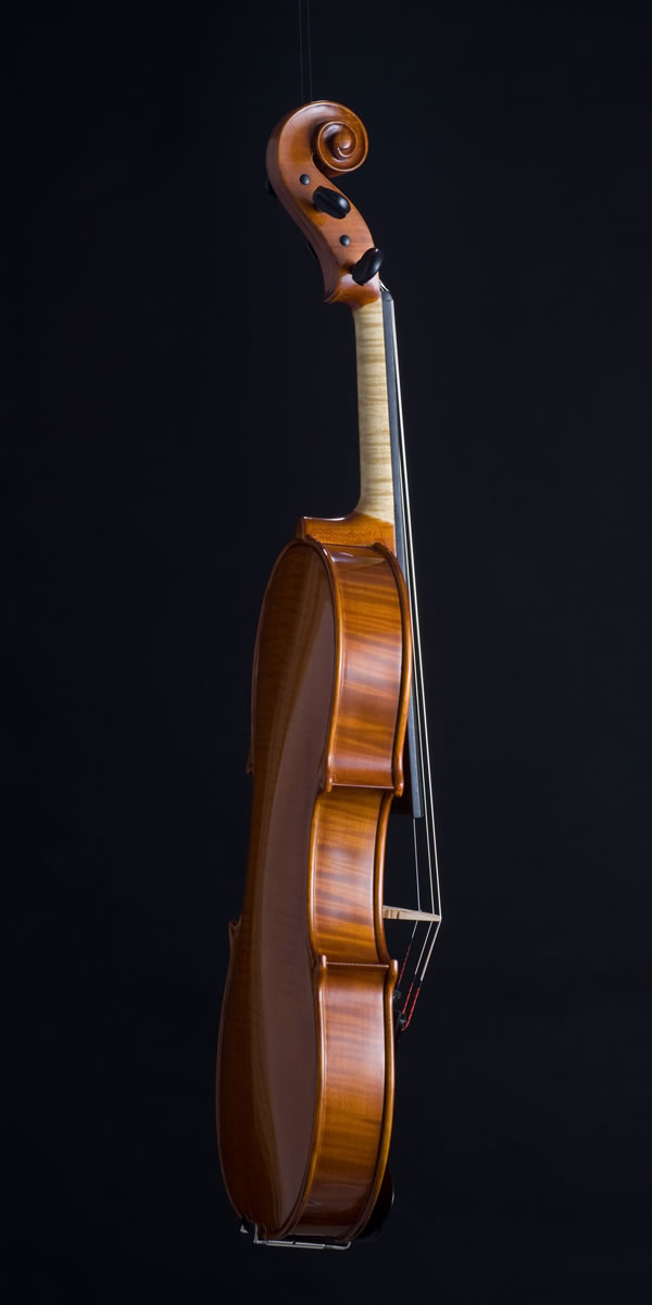 viola