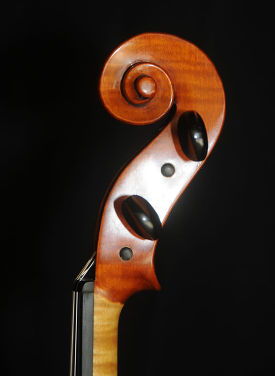 violin