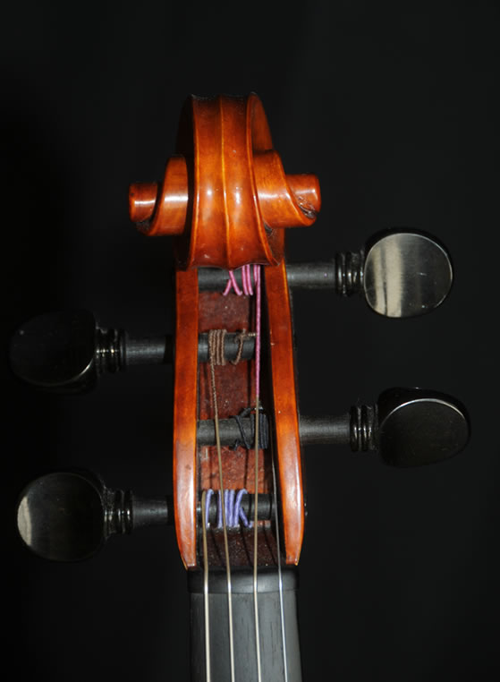 violin