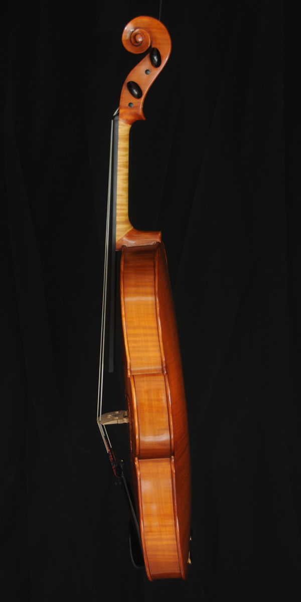 viola