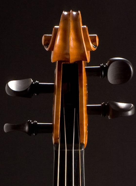 violin