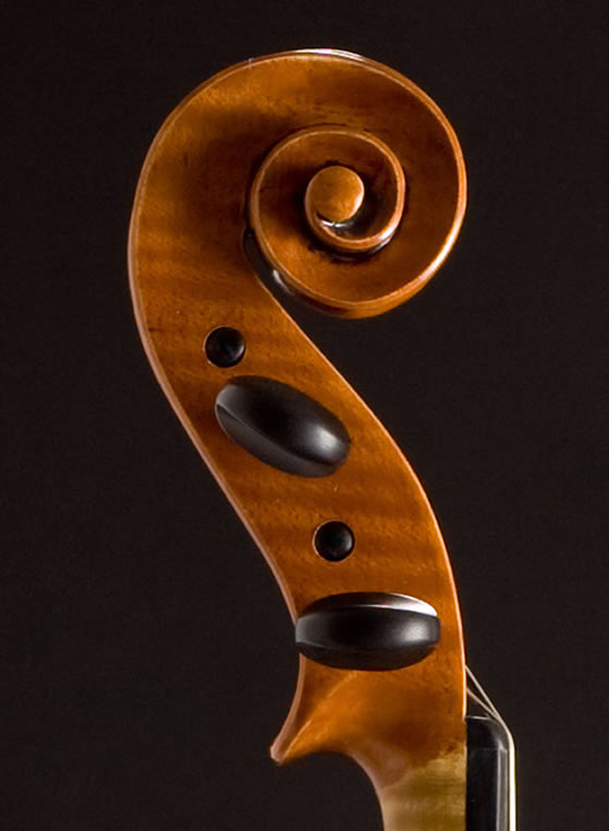 violin