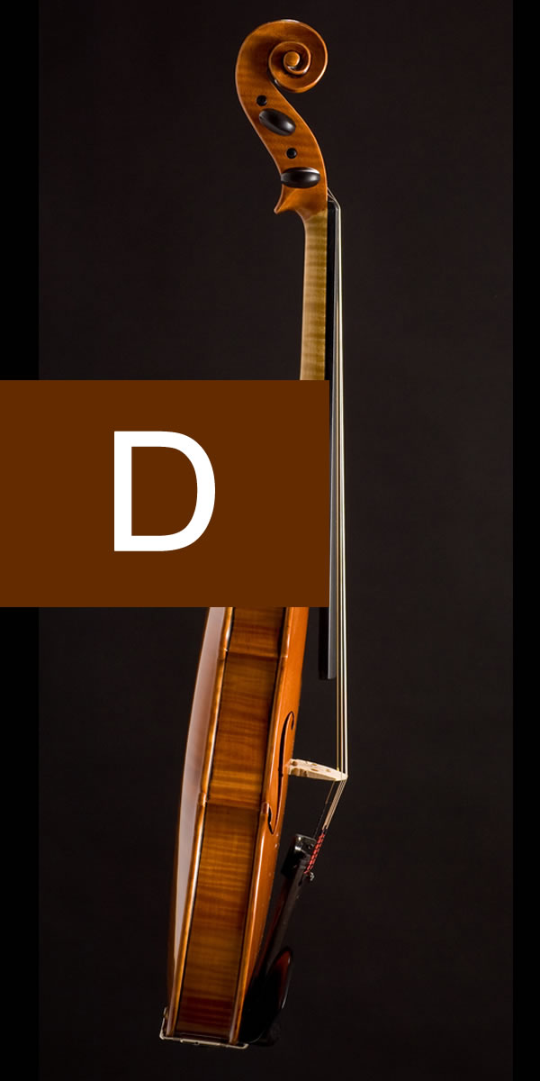 violin
