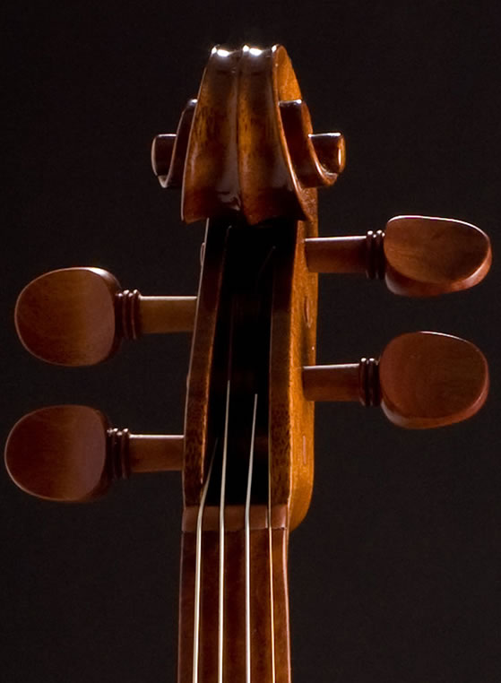 violin