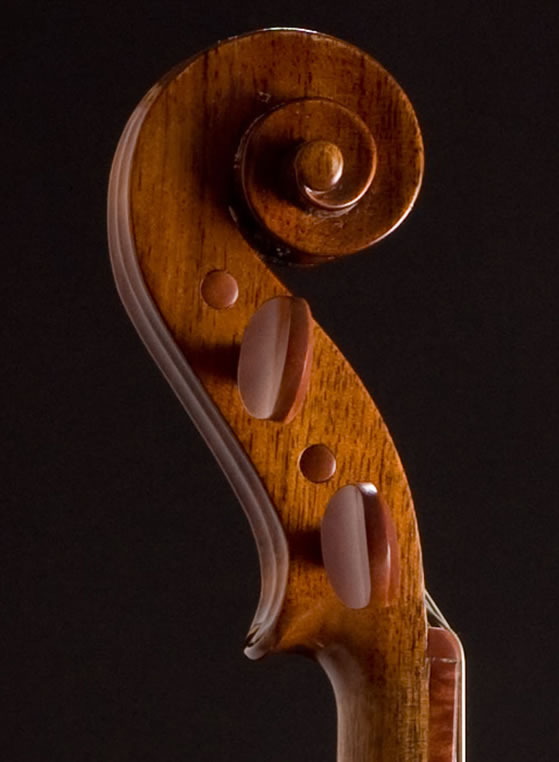 violin