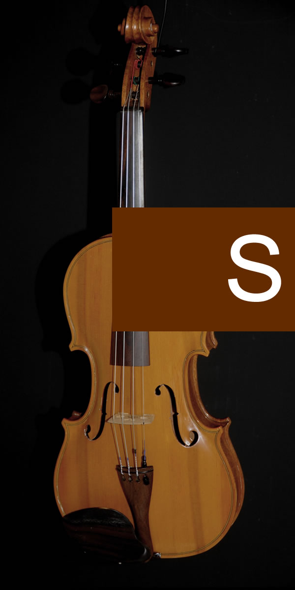 violin