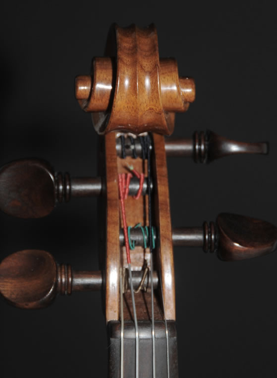 violin