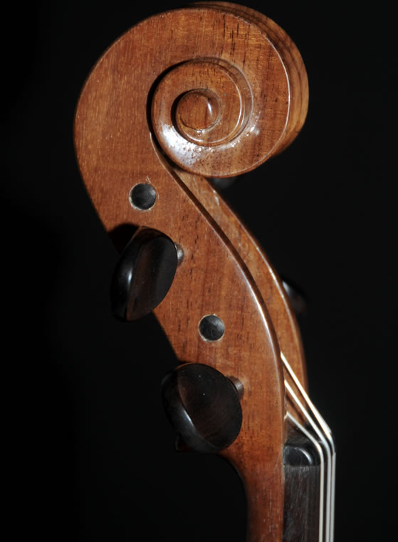 violin