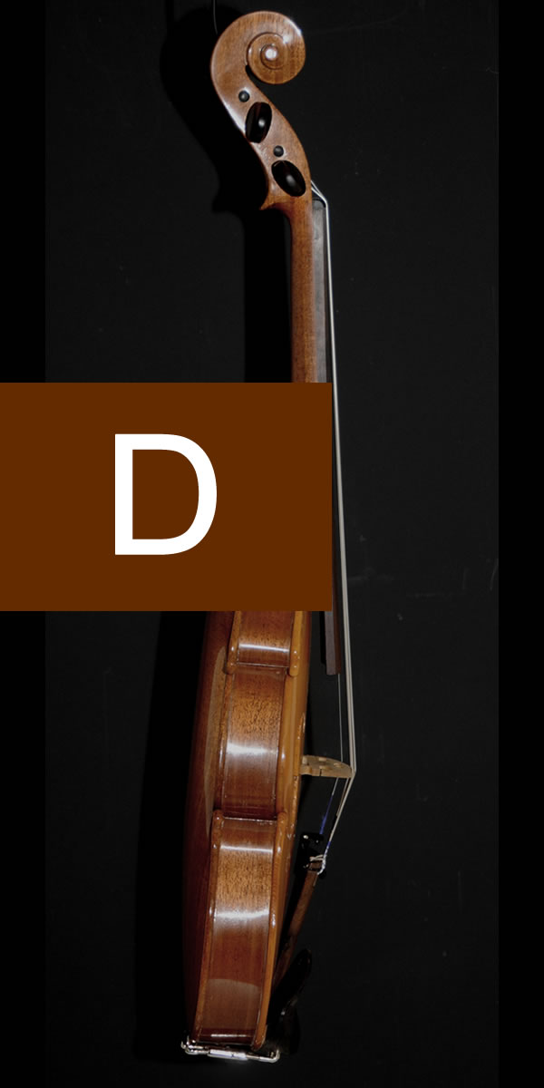 violin
