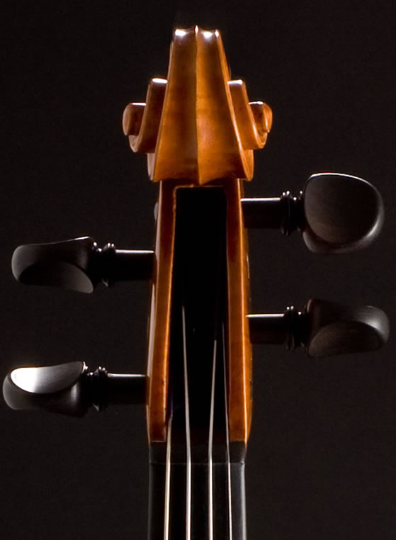 violin