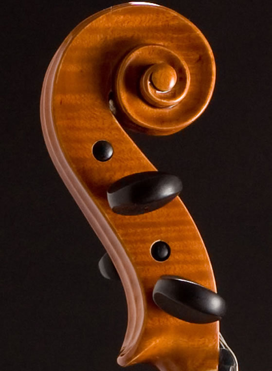violin