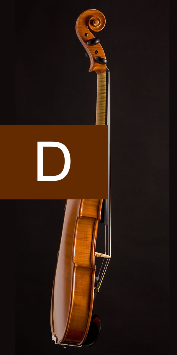 violin