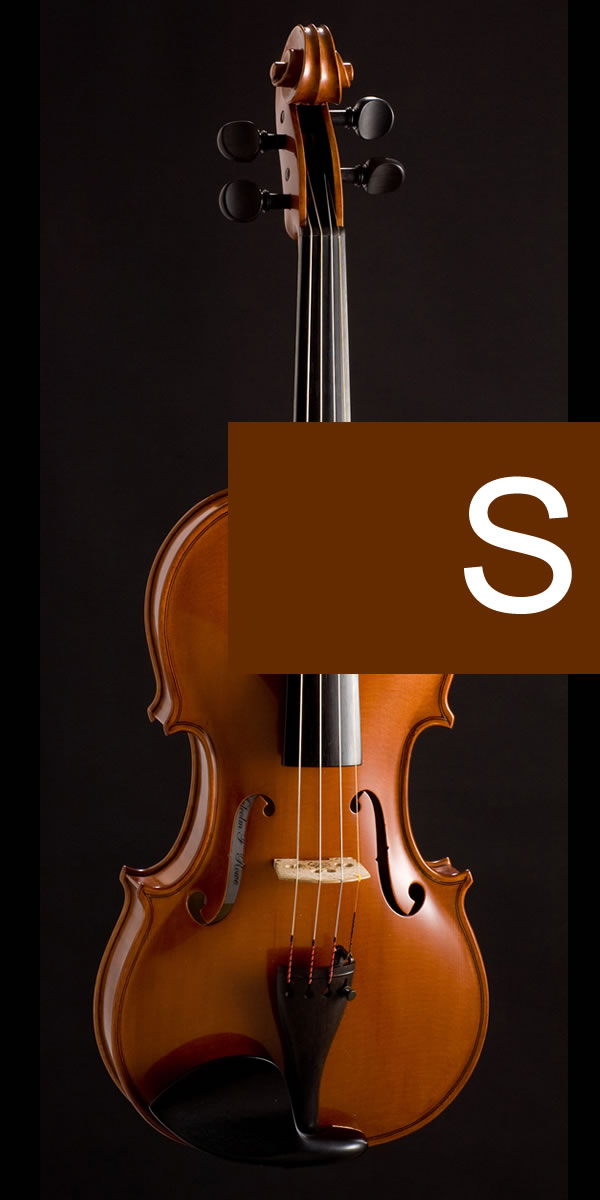 violin