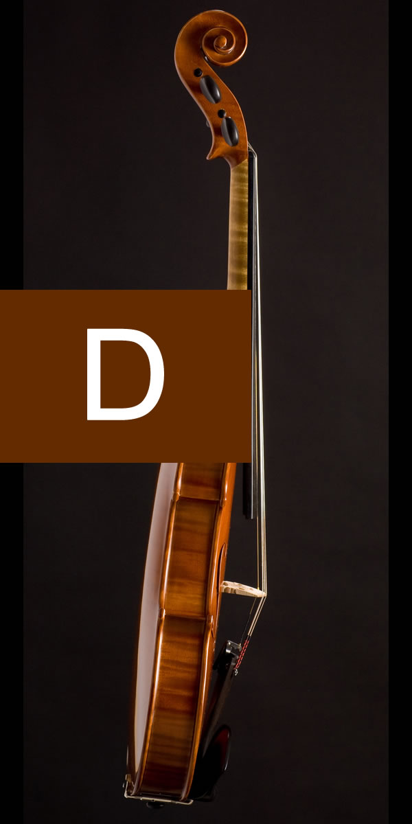 violin