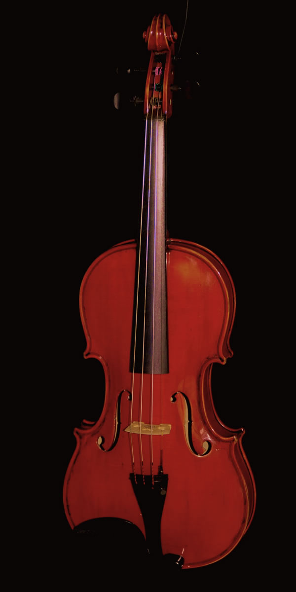 violin
