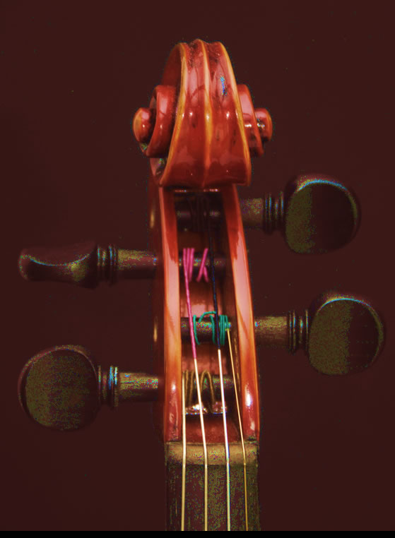 violin