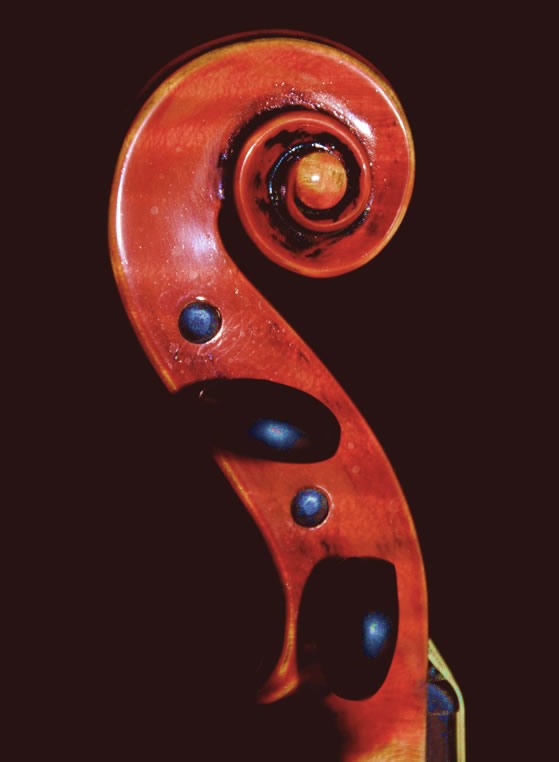 violin
