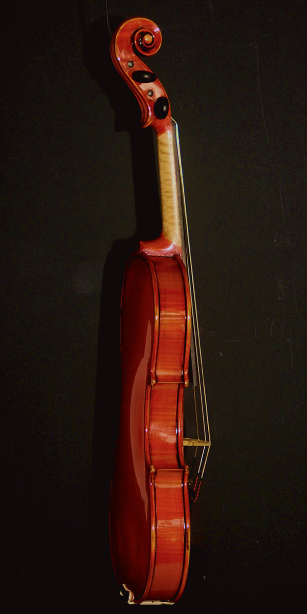 violin