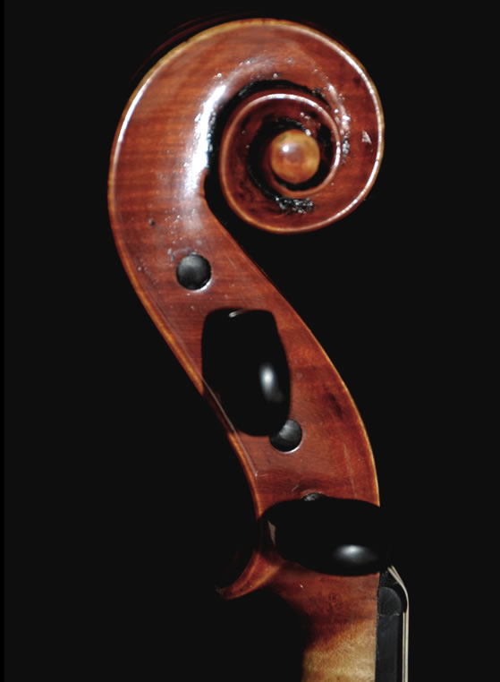 violin