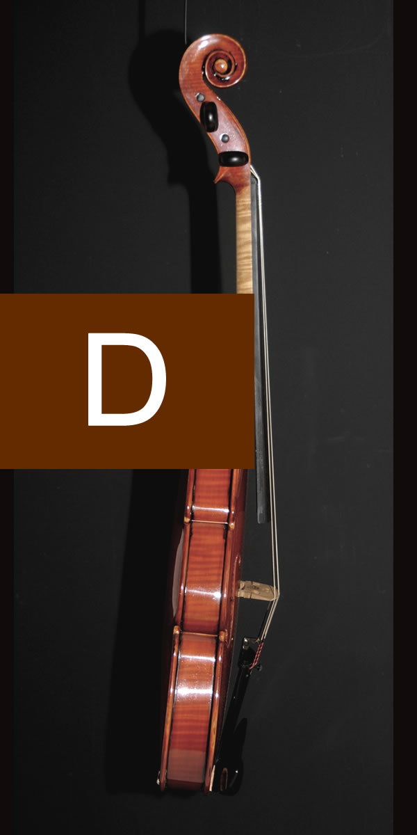 violin