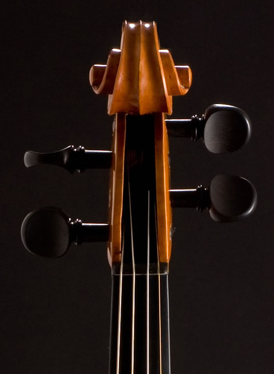 violin