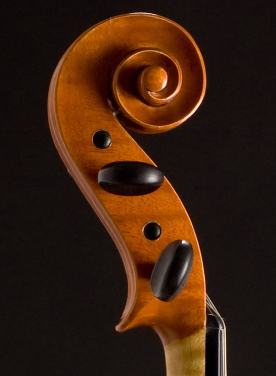 violin