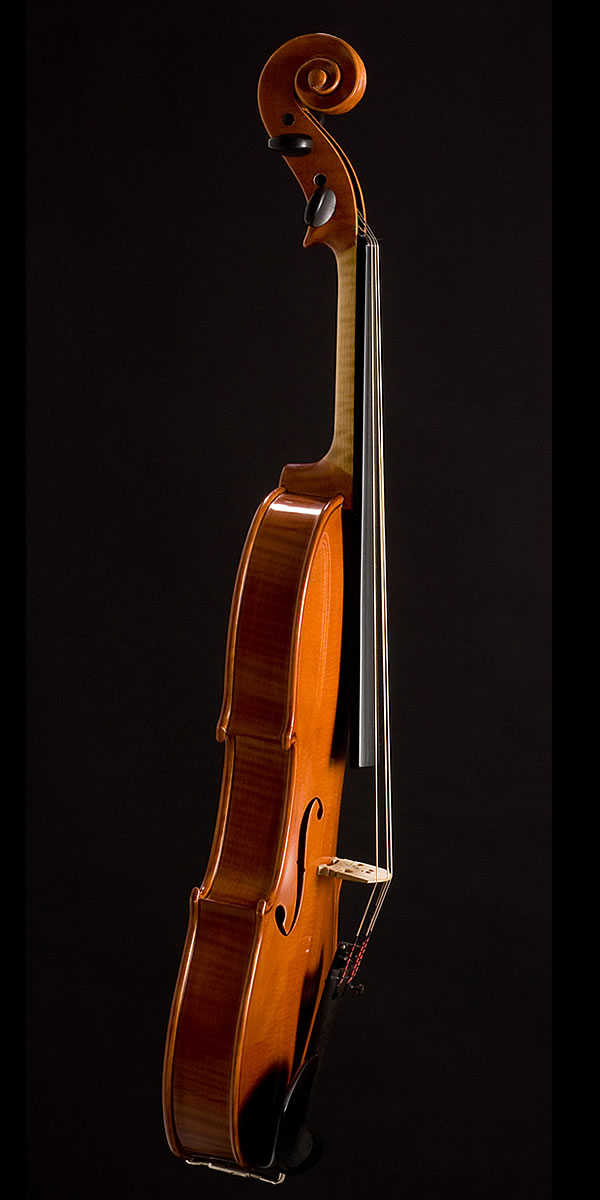 violin