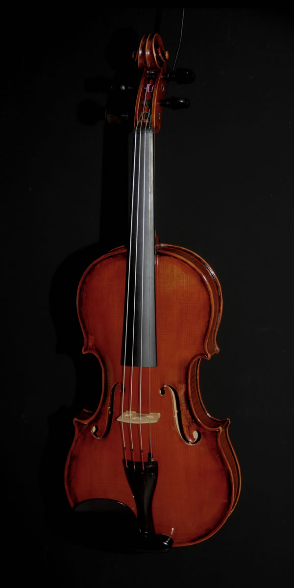 violin