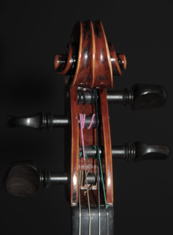 violin