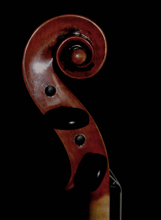 violin