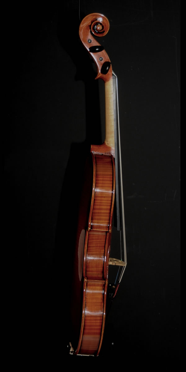 violin