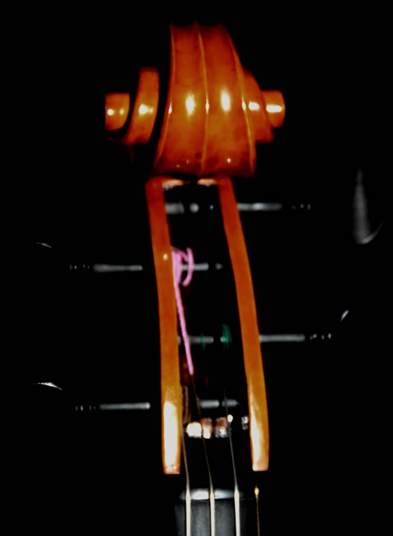 violin