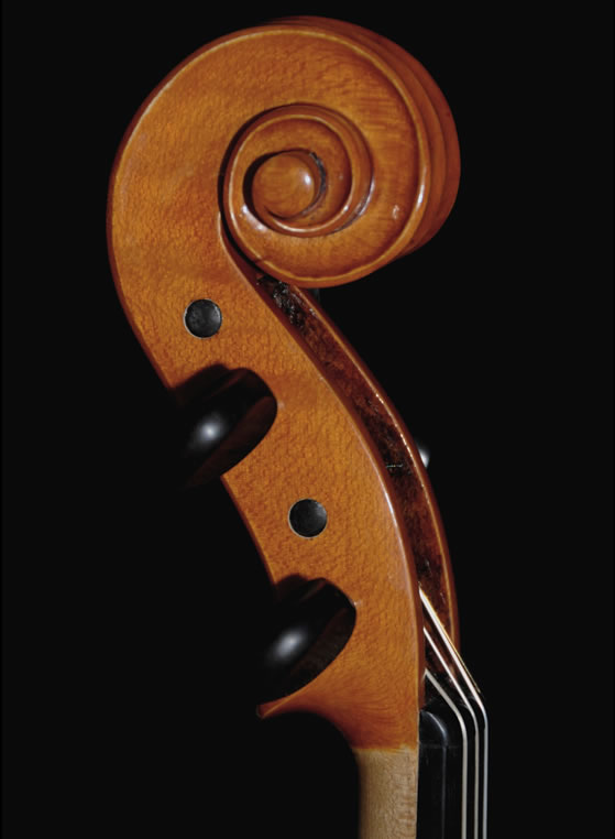 violin