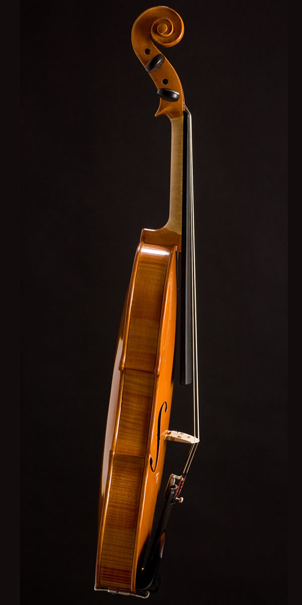 violin